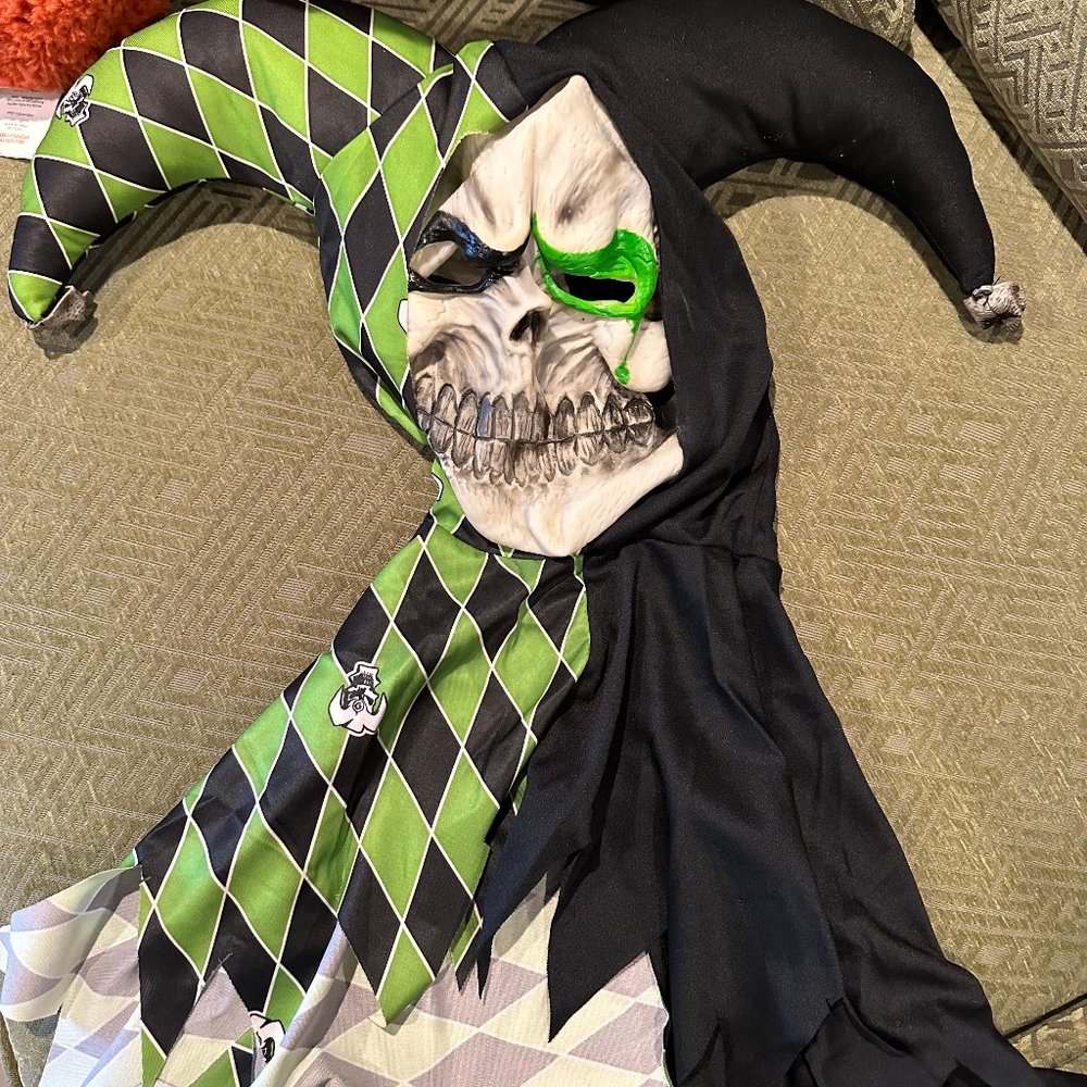 Evil Jester Costume